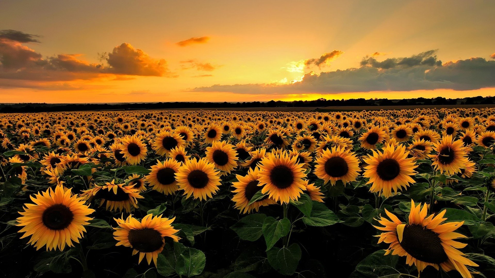 Counselling Billingham, Counselling Billingham TS23 2, Bournemouth Counselling &amp; Hypnotherapy